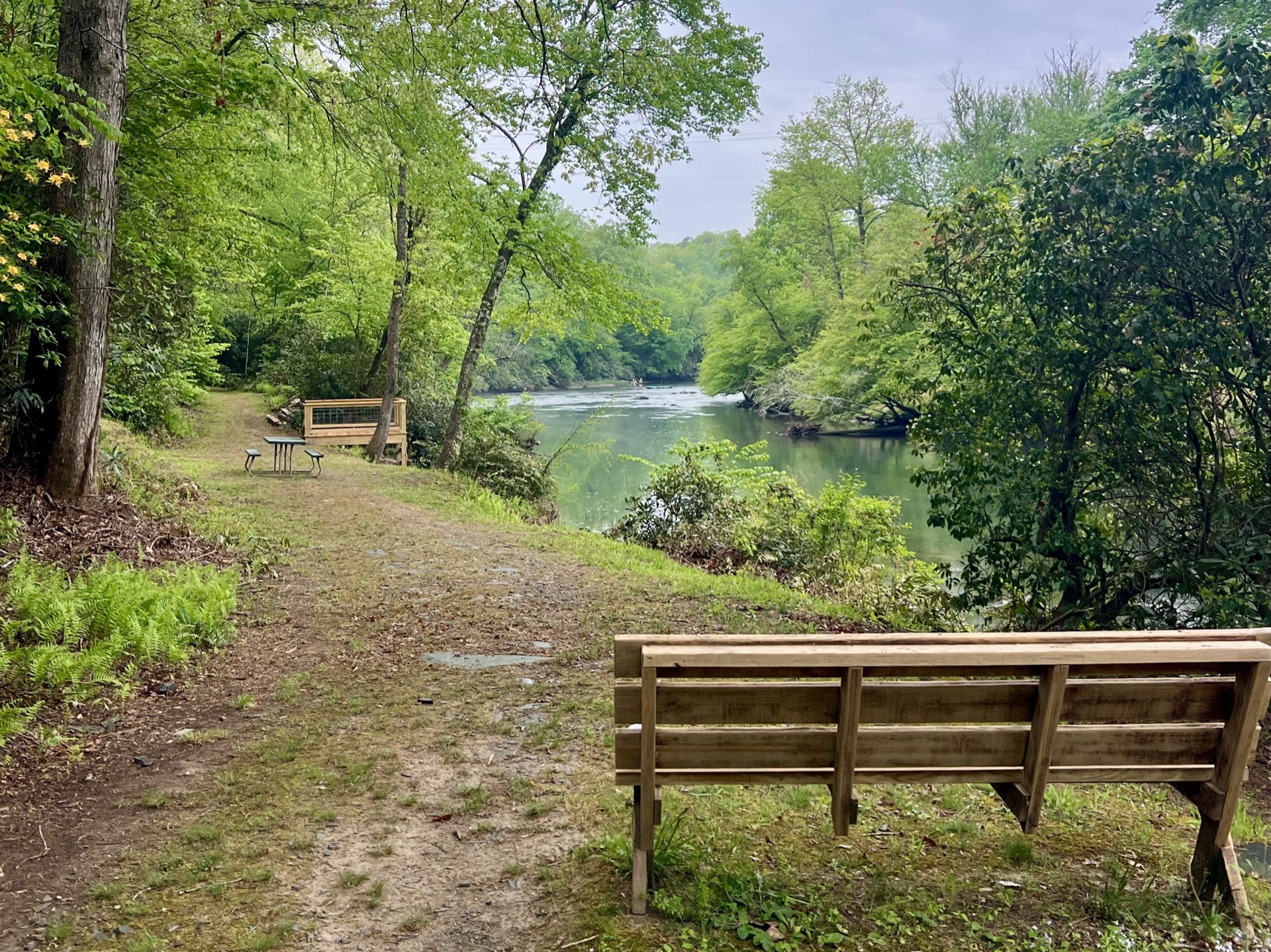 Best View on the River